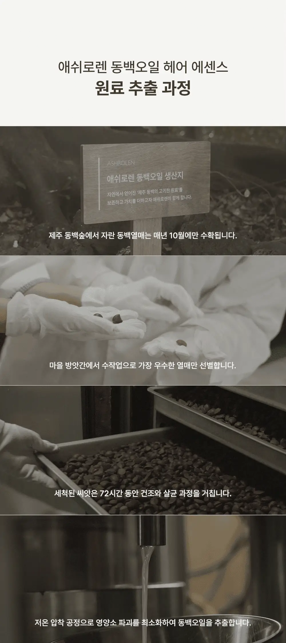 [끈적임제로/열보호] 애쉬로렌 제주 동백오일 헤어에센스 80ml 상세페이지 11